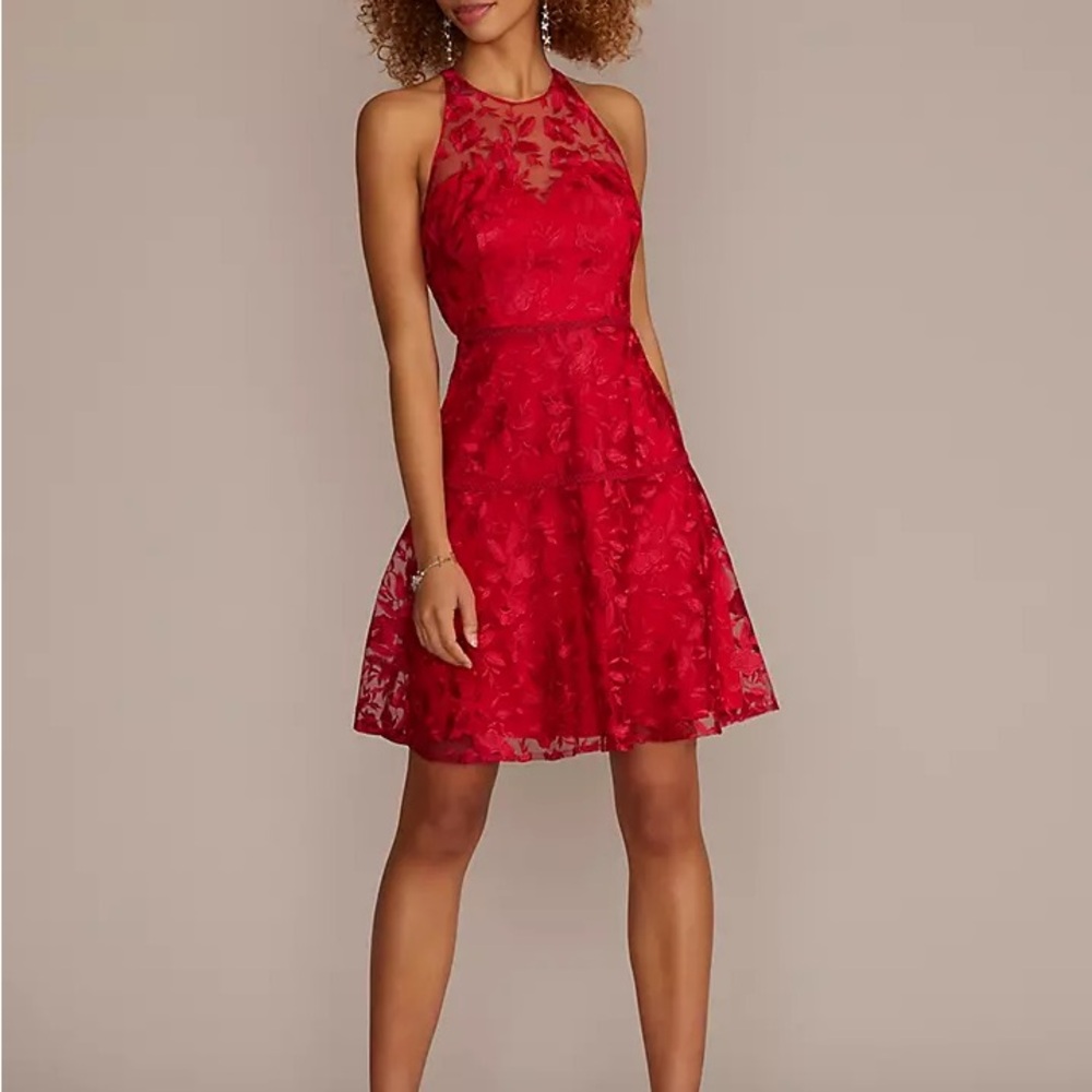 NWT Illusion Lace Elegant Dress